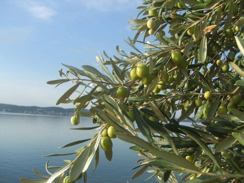 Nefes Hotel Ayvalik Exterior photo